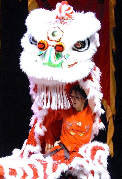 Lion Dancer pauses in low stance.